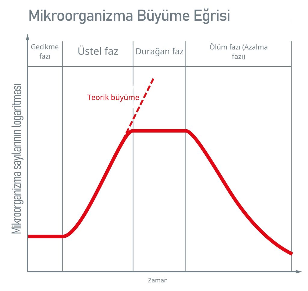 Mikroorganizma büyüme eğrisi