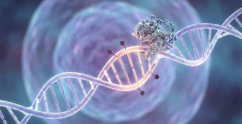 CRISPR’da yeni dönem: dna’yı kesmeden genleri iyileştirmek