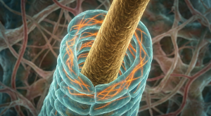 kökten iten değil, çeken bir mekanizma keşfedildi