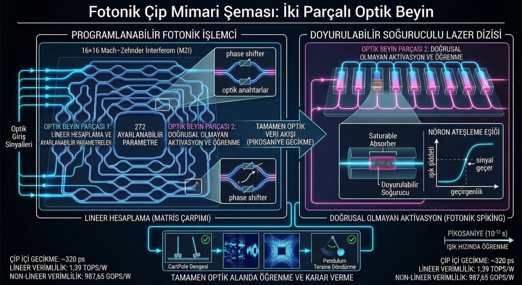 Fotonik Çip Mimarisi Lineer ve Doğrusal Olmayan Hesaplama Birimlerinin Entegrasyonu