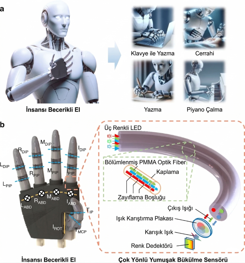 İnsansı Becerikli Elin Genel Yapısı ve Günlük Hayattaki Hassas Uygulama Alanları