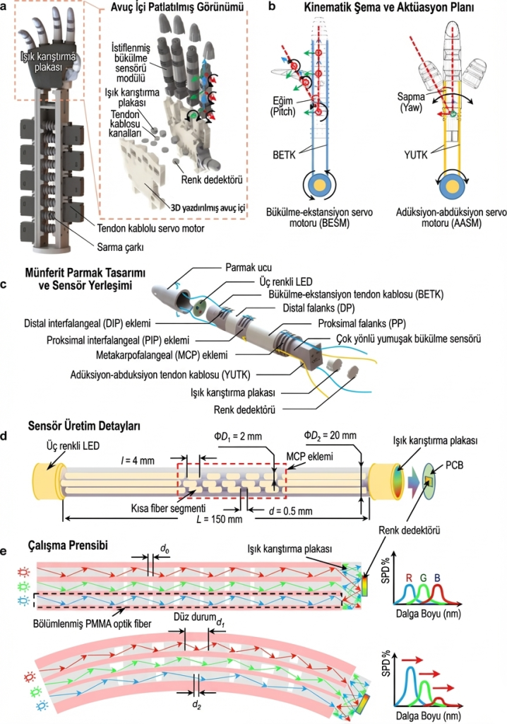 Robot Elin Kinematik Aktüasyonu ve Çok Yönlü Yumuşak Bükülme Sensörünün Optik Çalışma Mekanizması